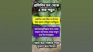 প্রতিদিন ৫টি সীমাবদ্ধ