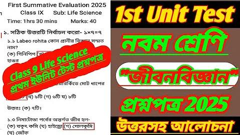 বাচ্চারা আক্রমণাত্মক কেন