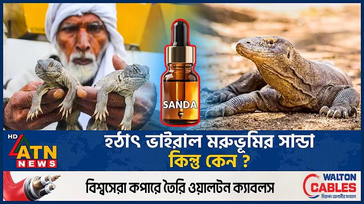 গেম স্টোর