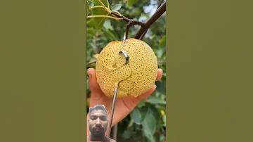 বাংলাদেশ বনাম আফগানিস্তান লাইভ ক্রিকেট ম্যাচ