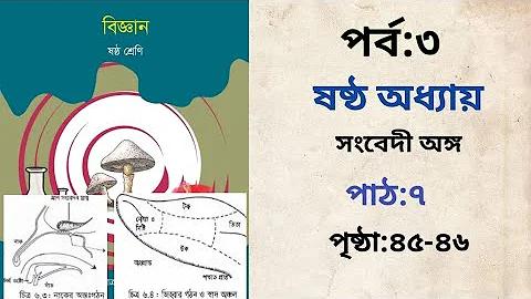 একজন খেলোয়াড় কি বল ধরার জন্য বেড়া লাফতে পারে