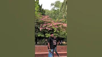 বিবাহ ভোজপুরি