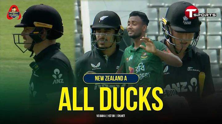 1xbet একাউন্ট খোলার নিয়ম