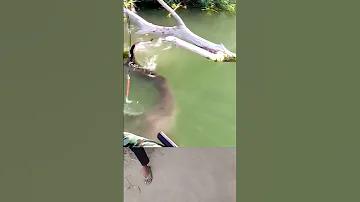 মালয়েশিয়ার ৪ডি আজকের ম্যাগনাম