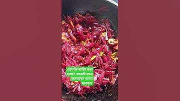 স্লট 168 ওয়া লেট