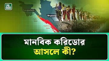 স্লট: শূকরের জলদস্যু স্লট
