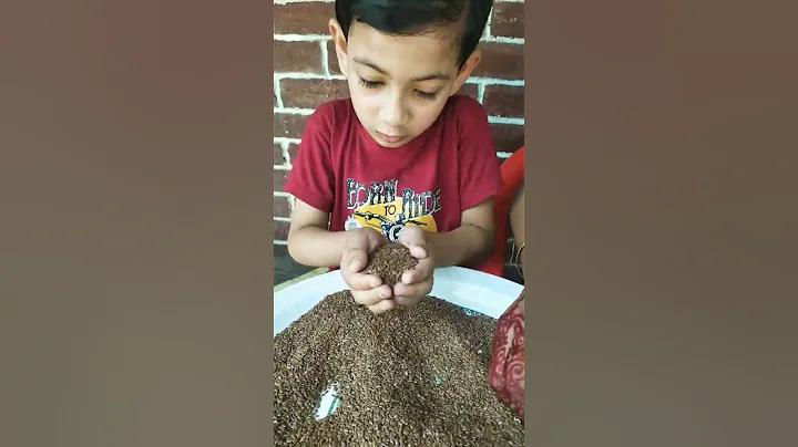 অনলাইন শেয়ার বাজারের লটারির ফলাফল