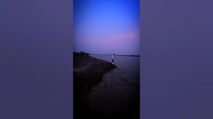 mtfe লগইন