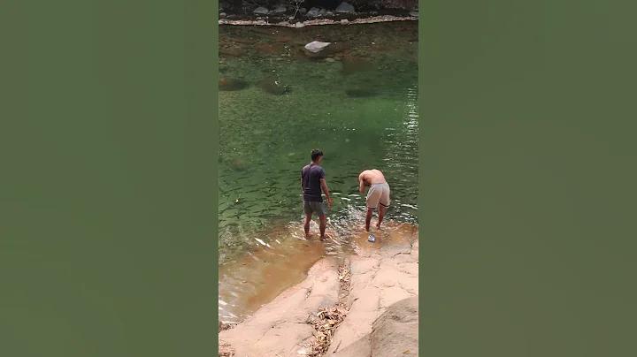 ইনকাম অনলাইন