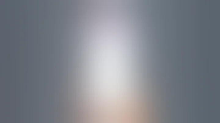 ওয়েব 169