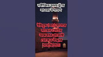 ঘোষ অঘোষ