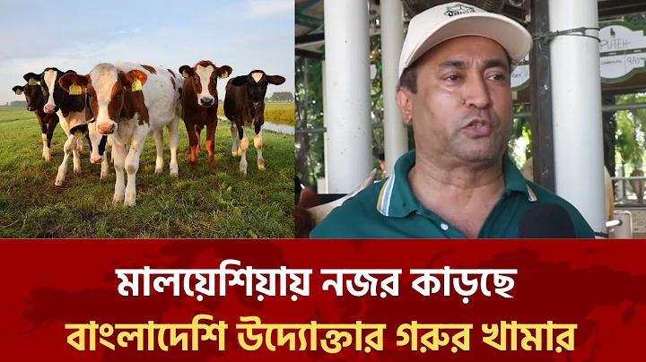 অ্যাপ গেম খেলতে সত্যি টাকা আয় করুন
