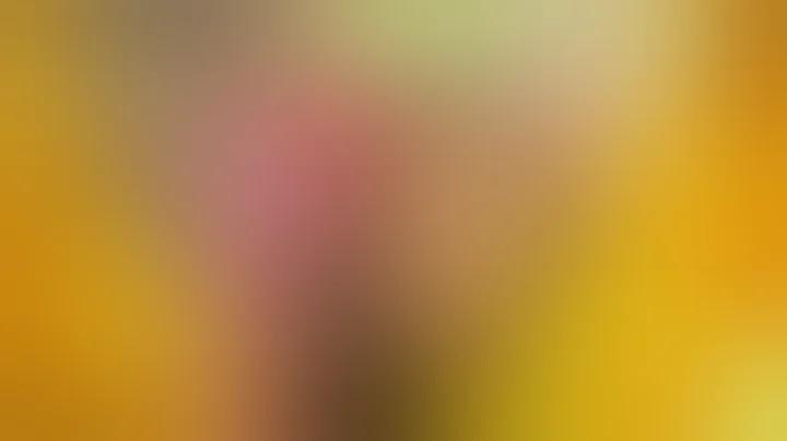গেম উড়ন্ত ট্রেন