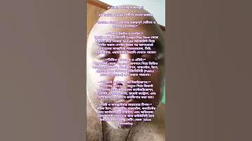 কলাপাতা রেস্টুরেন্ট