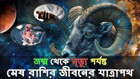 প্রো গেম রোভ
