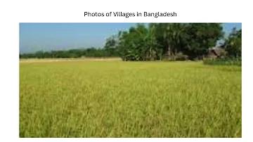 বিশ্বের সবচেয়ে ধনী ব্যক্তি কে