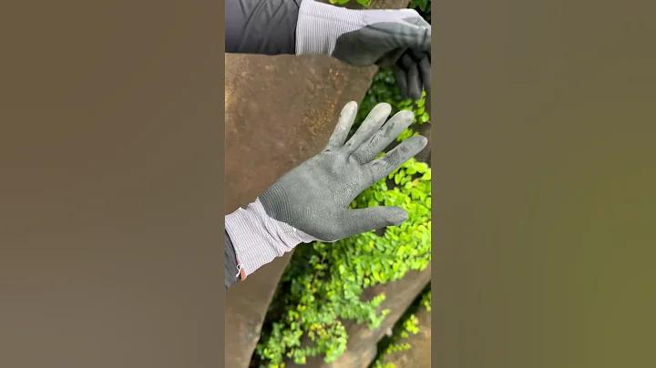 হোটেল ভাড়া কক্সবাজার