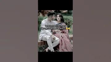 বেট তথ্য