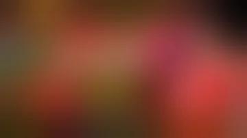 স্লট ফারো ওয়েব ডাইরেক্ট