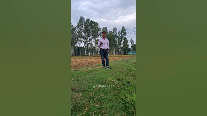 ফুটবল এশিয়ান কাপ 2023