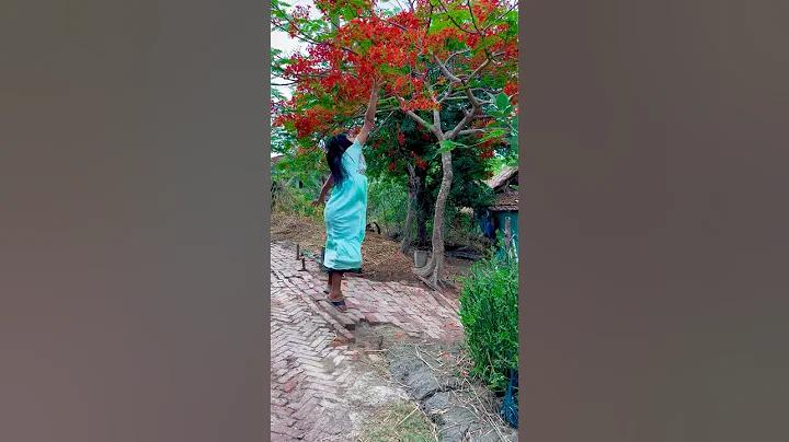 6six6 লগইন