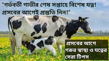 কট বিহাইন্ড কি