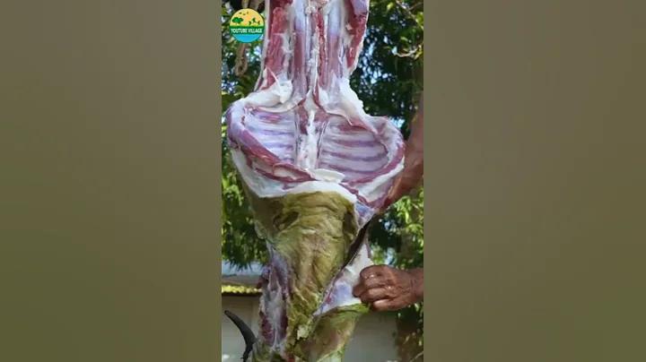 ফুটবল রেফারি সংকেত