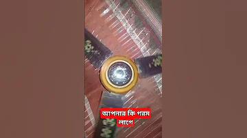 অস্ট্রেলিয়া সাউথ আফ্রিকা লাইভ স্কোর