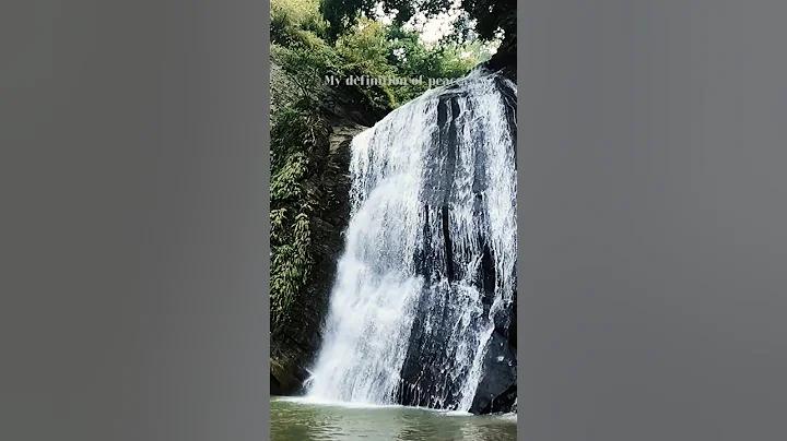 জীবন ফুরিয়ে যাবে ভালোবাসা