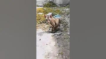 লটারি চেক করুন