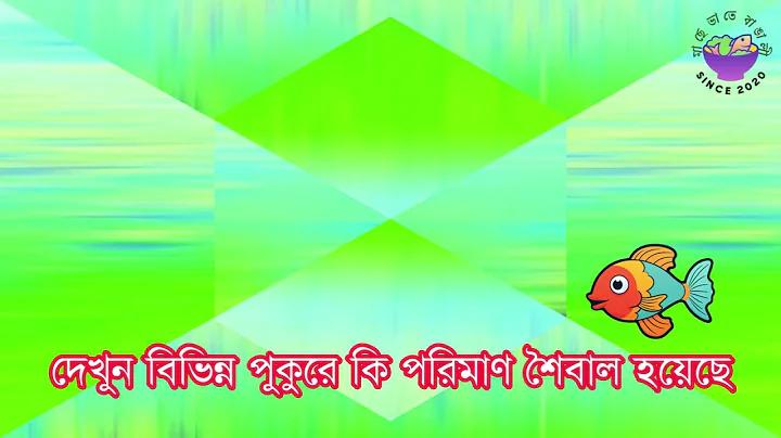 বড় ভিসা নজ লাইভ