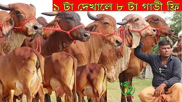 জেসদা লটারি