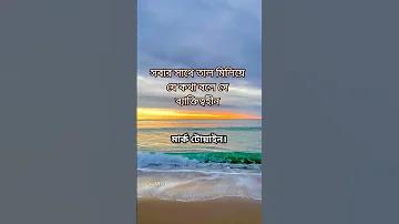 মাছের পুকুরে থাকা মতো