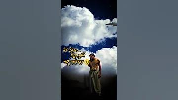 তুই থাকলে রাজি ধরবো বাজি কোন কিছু না ভেবে