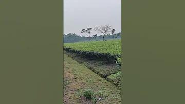 50 নাও 100 অবিরাম সর্বশেষ