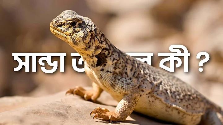 বিনামূল্যে পণ্য বিতরণ এর জাবেদা