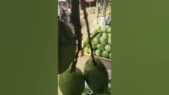 জ্যাকপট স্লট ক্যাসিনো