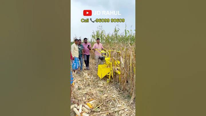 ফ্যাশন টা হলো মুখোশ