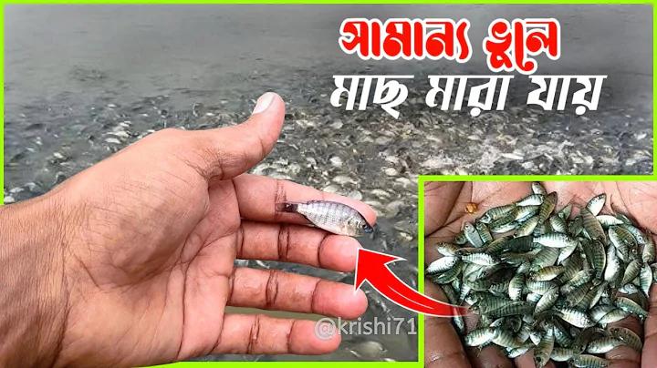 ফ দিয়ে গানের লিরিক্স