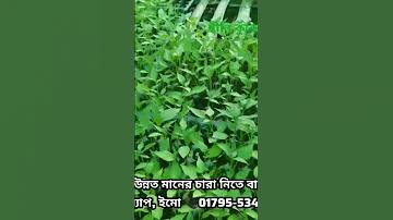 jorimana moukufer jonno abedon in bangla