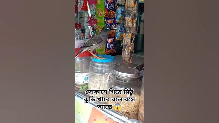 ঘটনা চক্রে