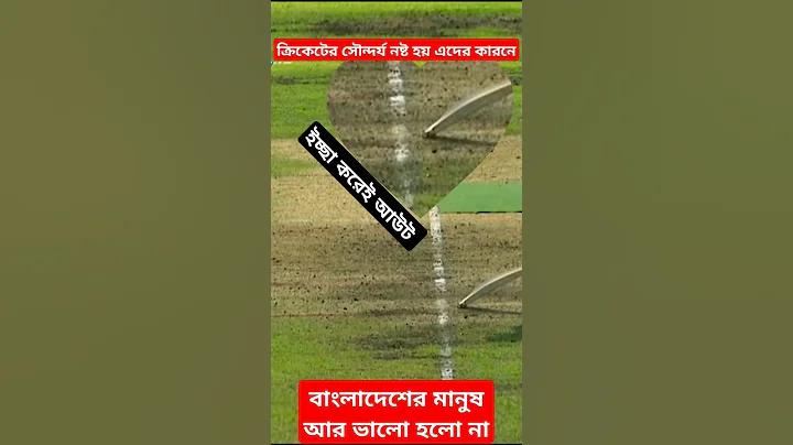 ক্রেজি ডে ইভোলিউশন গেমিং পছন্দের রিয়েল টাইম স্থানীয়