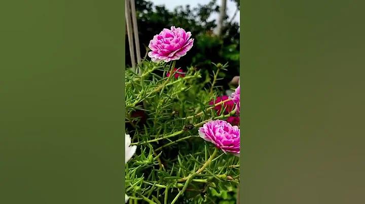 আমার কাছাকাছি সুস্বাদু আচরণ