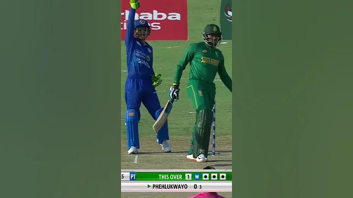 ৯১ বেট ক্রেডিট ফ্রি ৬৯