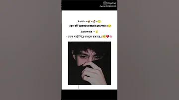 ক্রিকেট বিশ্লেষক কি