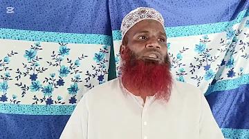 ক্রিকেটে ডট বলের শতকরা হিসাব
