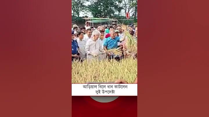 halved meaning in bengali