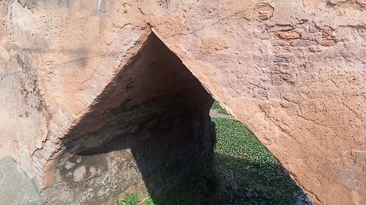 টাকা বোনাস অফার নিয়ে এলো 'ট্যাপ'