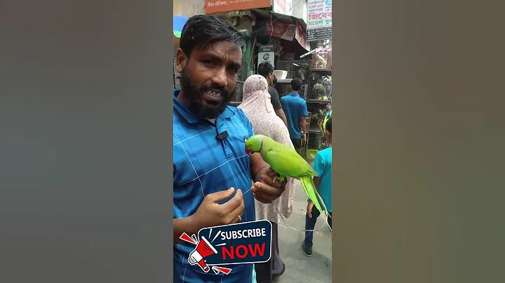 অযোধ্যা রাম মন্দির লাইভ
