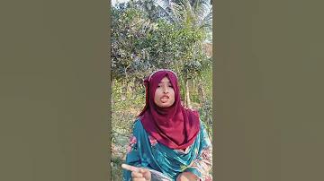 বাংলাদেশ বনাম আফগানিস্তান লাইভ ক্রিকেট ম্যাচ